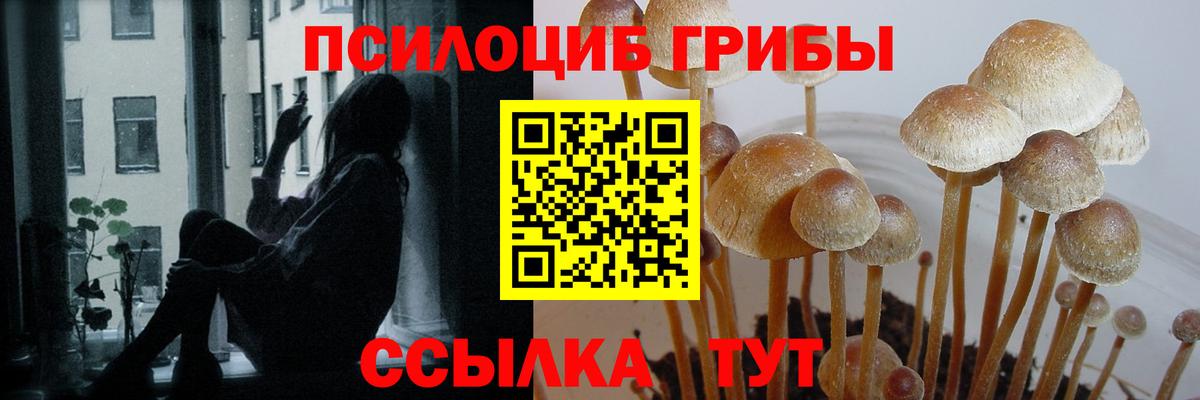 Галлюциногенные грибы GOLDEN TEACHER  Вход с VPN  Галлюциногенные грибы Psilocybine cubensis  Гусь-Хрустальный 